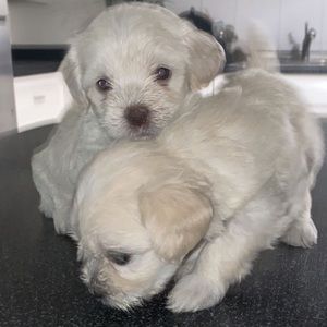 Meet your Posher, Kathya